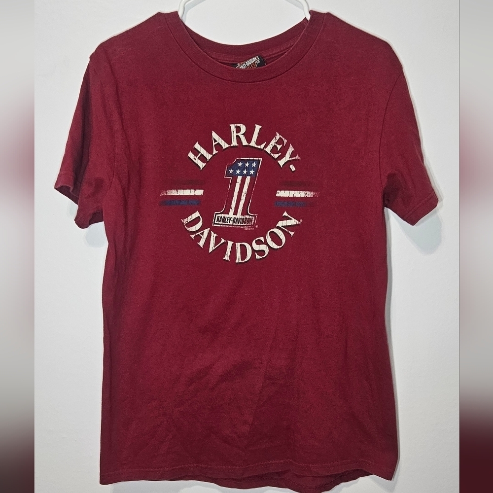 Maroon Renegade Harley Davidson 2013 Alexandria Louisiana Med Distressed Logo